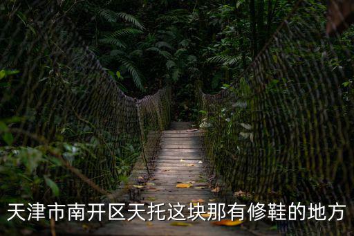天津市南開區天托這塊那有修鞋的地方
