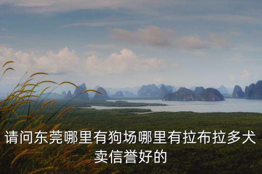 請問東莞哪里有狗場哪里有拉布拉多犬賣信譽好的