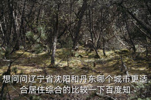 想問問遼寧省沈陽和丹東哪個城市更適合居住綜合的比較一下百度知