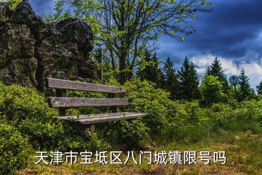 天津市寶坻區八門城鎮限號嗎