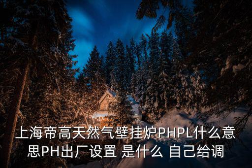 上海帝高天然氣壁掛爐PHPL什么意思PH出廠設置 是什么 自己給調