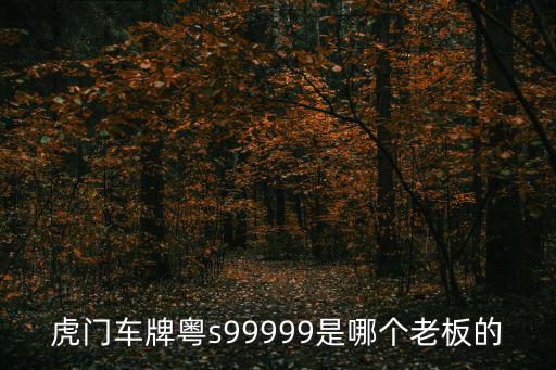 虎門車牌粵s99999是哪個老板的