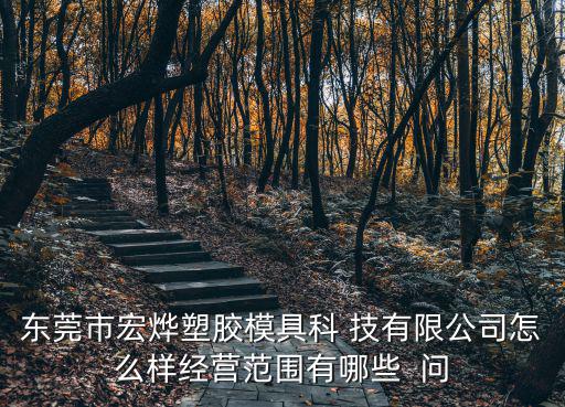東莞市宏燁塑膠模具科 技有限公司怎么樣經營范圍有哪些  問