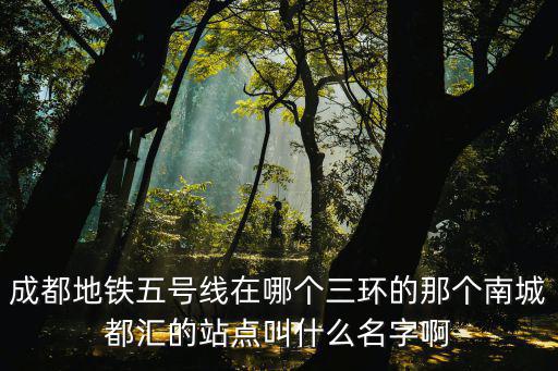 成都地鐵五號線在哪個三環(huán)的那個南城都匯的站點叫什么名字啊