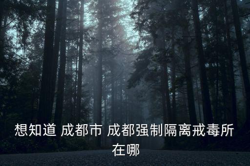 成都市陳佳律師，當事人交通事故死亡戶口在農(nóng)村但是已經(jīng)在成都市讀書三年以上