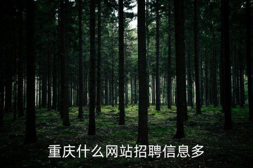 重慶什么網(wǎng)站招聘信息多