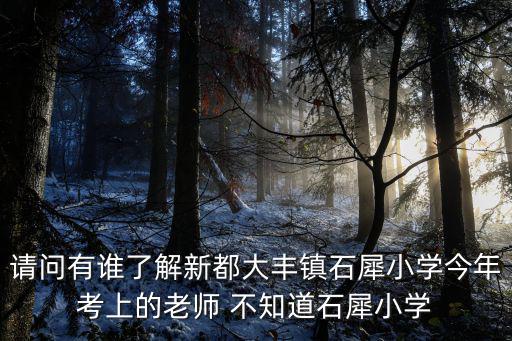 請問有誰了解新都大豐鎮石犀小學今年考上的老師 不知道石犀小學