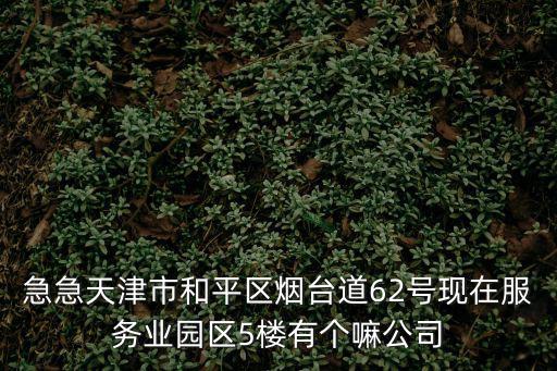 天津市大新騰達(dá)機(jī)電商貿(mào)有限公司，急急天津市和平區(qū)煙臺道62號現(xiàn)在服務(wù)業(yè)園區(qū)5樓有個(gè)嘛公司