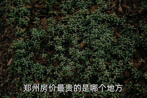 鄭州房價最高的是哪個區域，鄭州房價最貴的是哪個地方