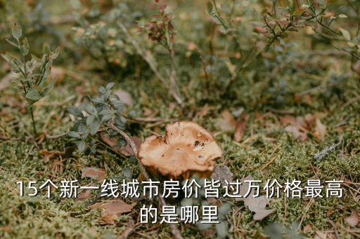 15個(gè)新一線城市房價(jià)皆過萬價(jià)格最高的是哪里