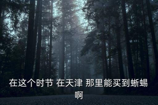 在這個時節 在天津 那里能買到蜥蜴啊