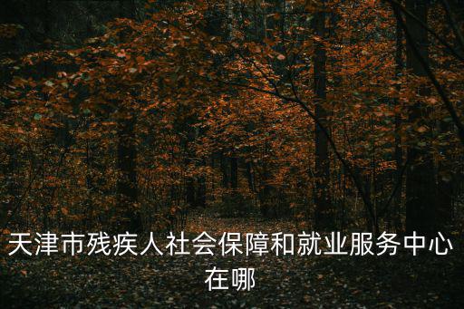 天津市里哪里有服務中心，天津市殘疾人社會保障和就業服務中心在哪