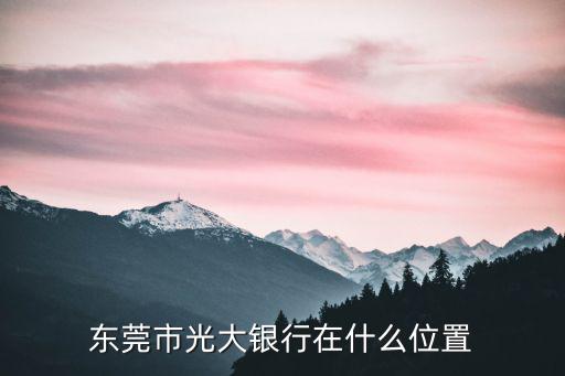 東莞市光大銀行在什么位置