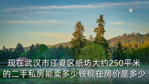 現在武漢市江夏區紙坊大約250平米的二手私房能賣多少錢現在房價是多少