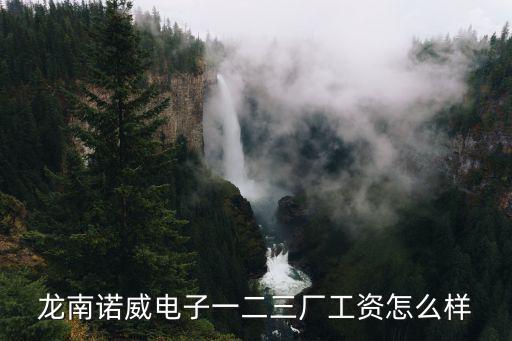 深圳市龍崗諾威電子有限公司，龍南諾威電子一二三廠工資怎么樣