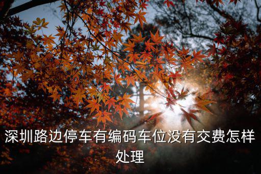 深圳路邊停車有編碼車位沒(méi)有交費(fèi)怎樣處理