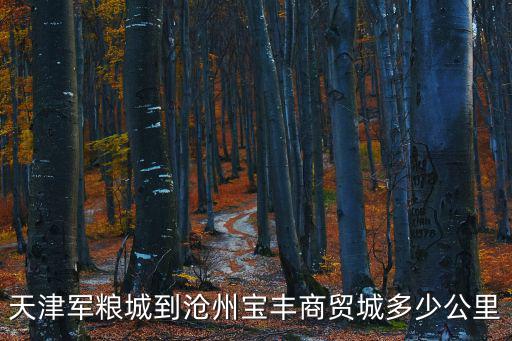 天津軍糧城到滄州寶豐商貿城多少公里