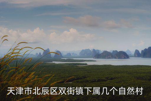 天津市北辰區雙街鎮下屬幾個自然村