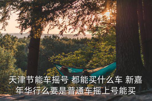 天津市節(jié)能車掛什么牌，天津節(jié)能車搖號 都能買什么車 新嘉年華行么要是普通車搖上號能買