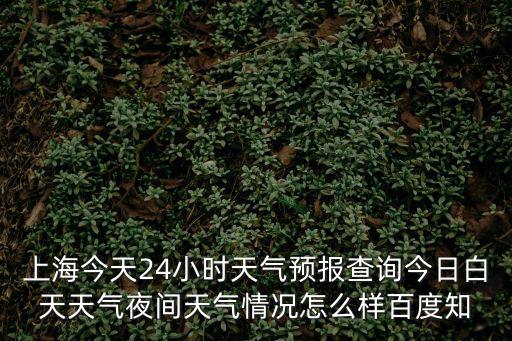 上海今天24小時天氣預報查詢今日白天天氣夜間天氣情況怎么樣百度知