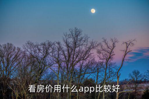 看房價用什么app比較好