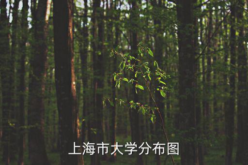 上海市大學(xué)分布圖
