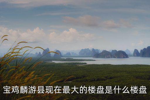 寶雞麟游縣現在最大的樓盤是什么樓盤