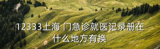 12333上海 門急診就醫記錄冊在什么地方有換