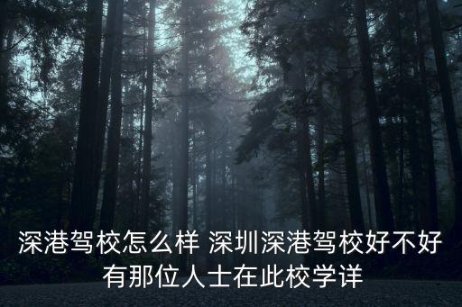 深港駕校怎么樣 深圳深港駕校好不好 有那位人士在此校學詳