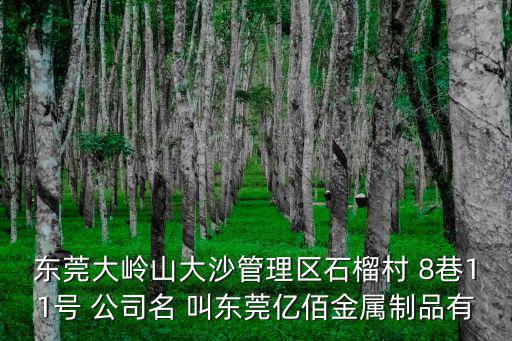 東莞大嶺山大沙管理區石榴村 8巷11號 公司名 叫東莞億佰金屬制品有
