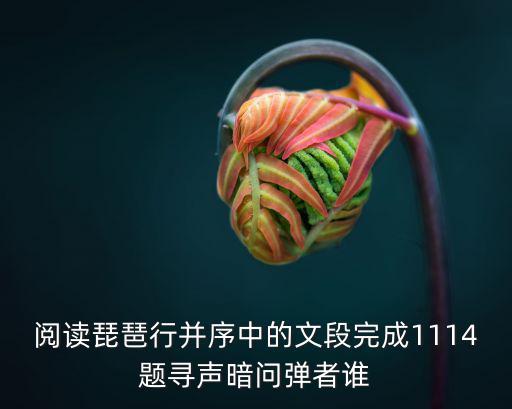 閱讀琵琶行并序中的文段完成1114題尋聲暗問彈者誰