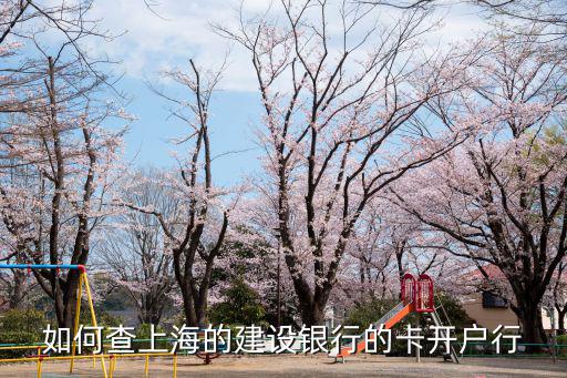 如何查上海的建設(shè)銀行的卡開戶行