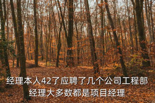 經(jīng)理本人42了應(yīng)聘了幾個(gè)公司工程部經(jīng)理大多數(shù)都是項(xiàng)目經(jīng)理