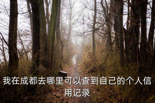 我在成都去哪里可以查到自己的個人信用記錄