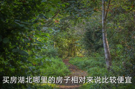 買房湖北哪里的房子相對來說比較便宜