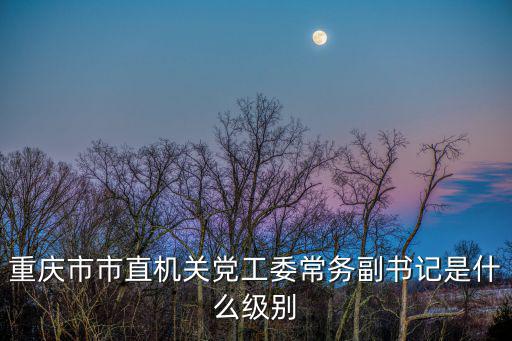 重慶市市直機關黨工委常務副書記是什么級別