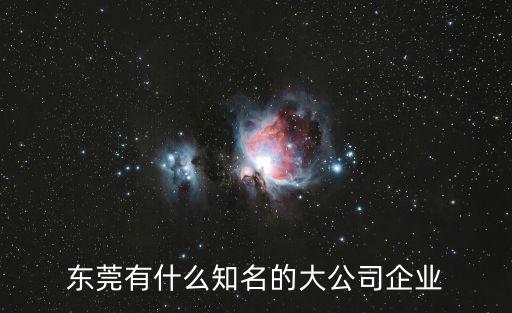 東莞有什么知名的大公司企業(yè)