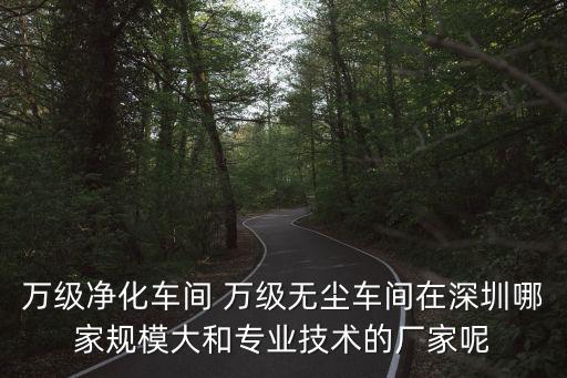 萬級凈化車間 萬級無塵車間在深圳哪家規模大和專業技術的廠家呢