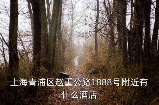 上海青浦區趙重公路1888號附近有什么酒店