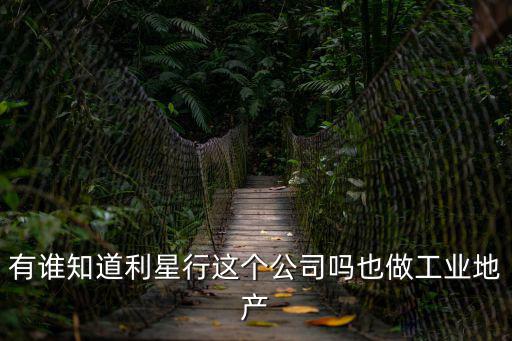 有誰知道利星行這個公司嗎也做工業地產