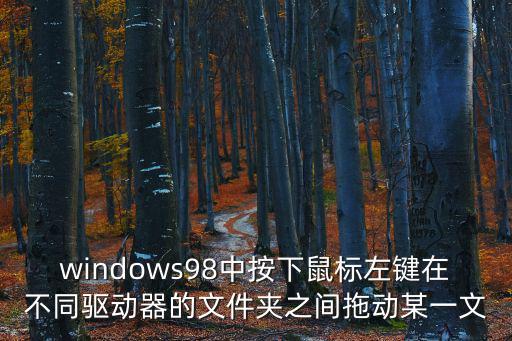 windows98中按下鼠標左鍵在不同驅動器的文件夾之間拖動某一文