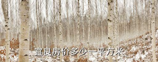 宜良房價多少一平方米