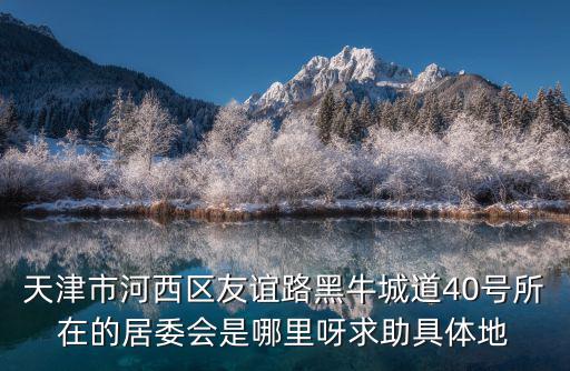 天津市友誼路40號院是哪個小區，距離天津市南開區友誼大廈河西區的小區名字