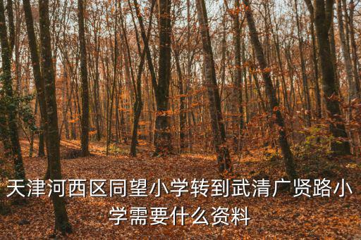 天津市同望小學地址，天津河西區同望小學轉到武清廣賢路小學需要什么資料