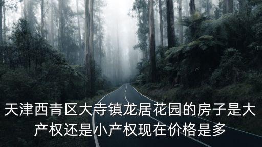 天津西青區大寺鎮龍居花園的房子是大產權還是小產權現在價格是多