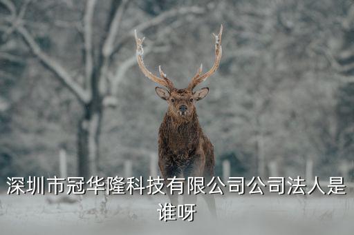深圳市冠華隆科技有限公司公司法人是誰呀