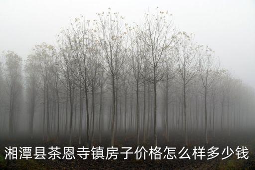 湘潭縣茶恩寺鎮房子價格怎么樣多少錢
