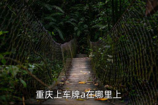 重慶上車牌a在哪里上