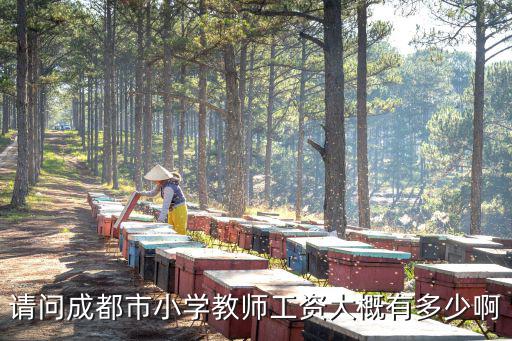 請問成都市小學(xué)教師工資大概有多少啊