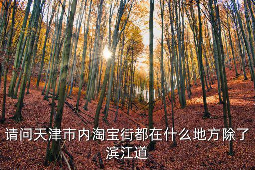 天津市 中科曙光，請問天津市內淘寶街都在什么地方除了濱江道